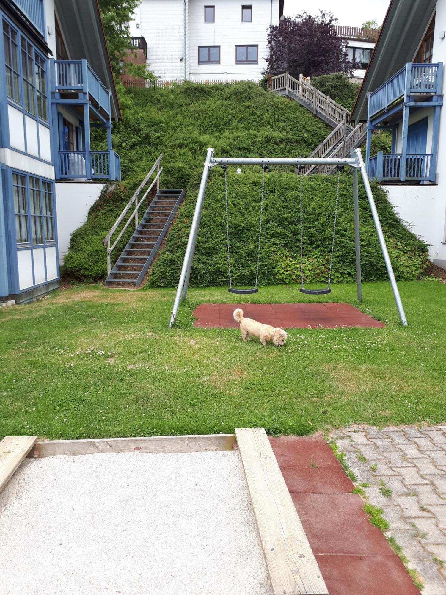 Ferienapartment 38 Sonnenwald Oberlangfurth Exterior foto